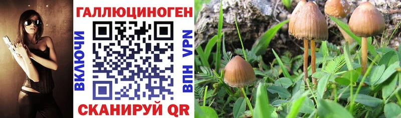 мориарти формула  Нижний Ломов  Галлюциногенные грибы MAGIC MUSHROOMS 